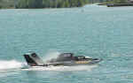 62.jpg (81236 bytes)